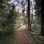 Lumoava Saarimoekki * Jakobstad