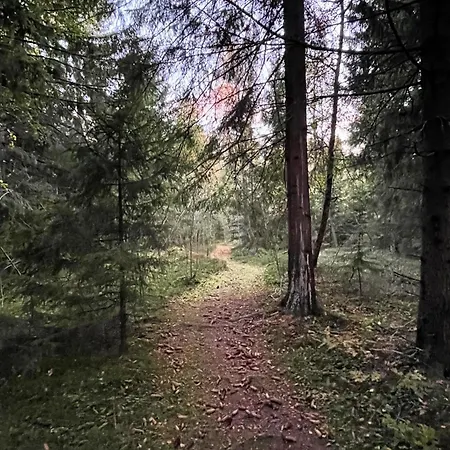 Lumoava Saarimoekki * Jakobstad